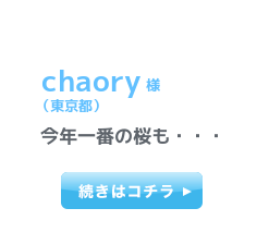 chaory様